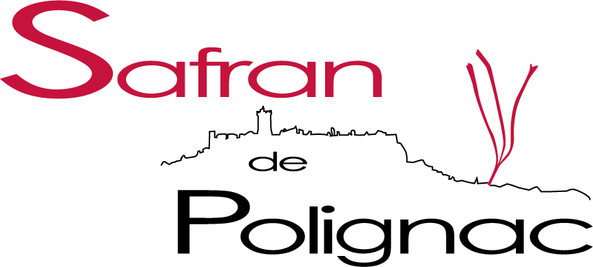 Safran Français d'Excellence
